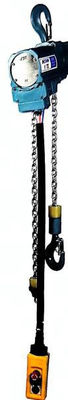 Customizable Pneumatic Hoist 1000kg With Various Controllers And Rollers
